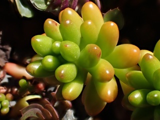 PB010539a.jpg